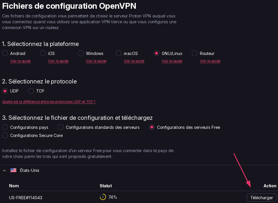 Télécharger le fichier .ovpn